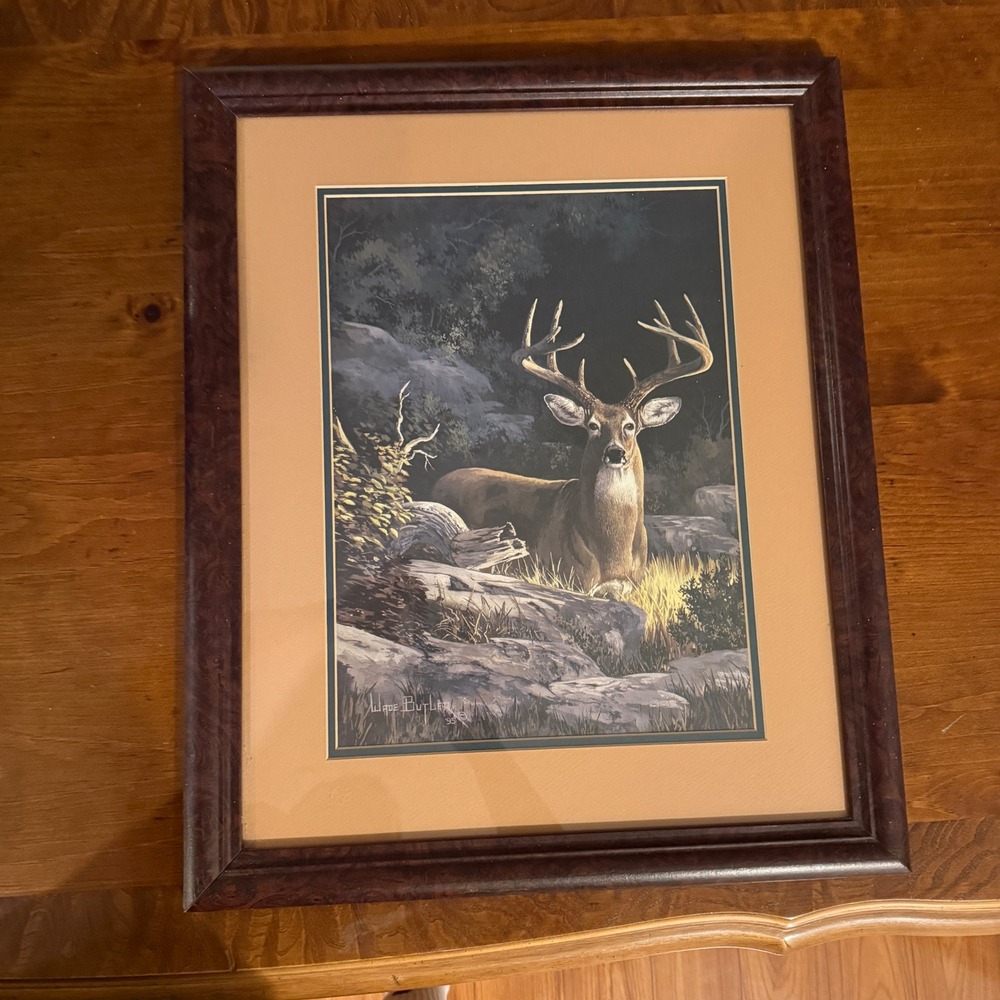 Vintage 1995 Wayne Butler Whitetail Buck Deer Framed Wildlife Art Print